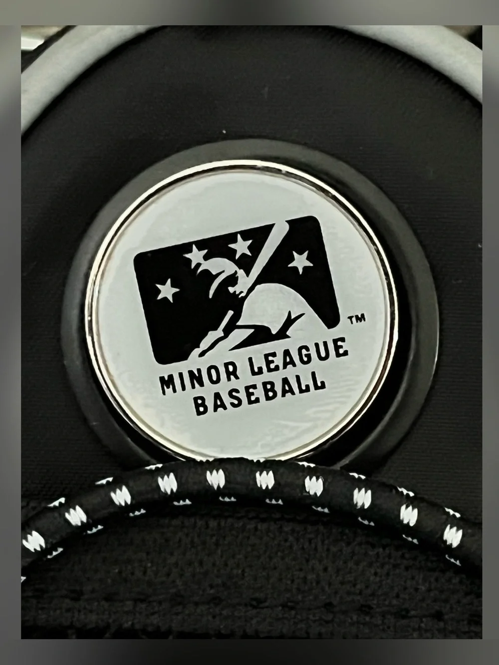 Minor League Baseball Mini Day Pack